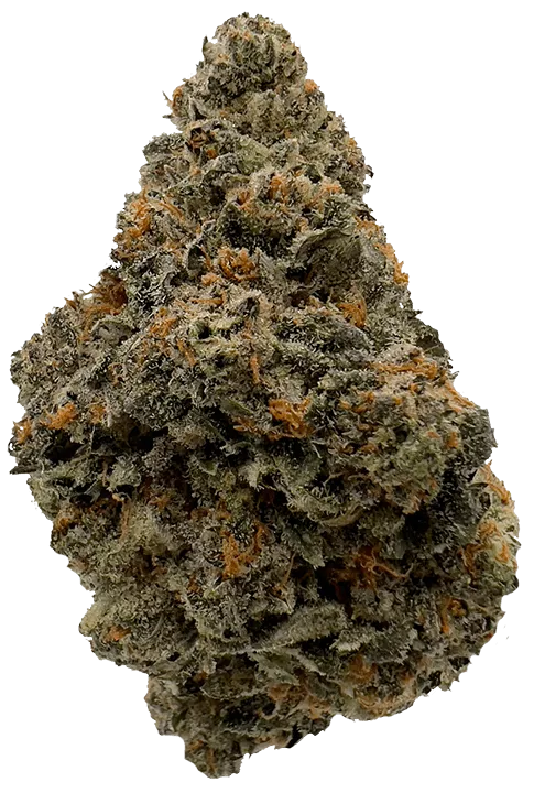 GUAVA GELATO Bud Photo by The Laughing Goat