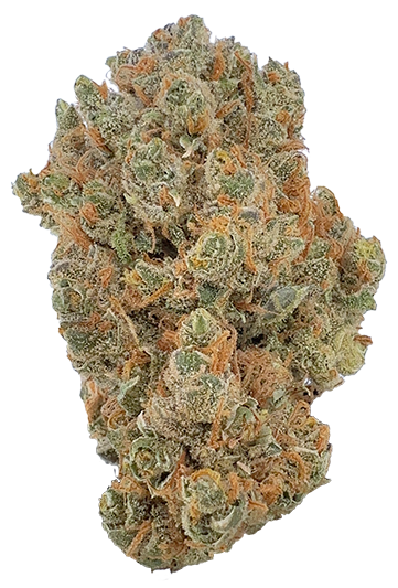 NY Sour Diesel Cannabis Nug 361x500