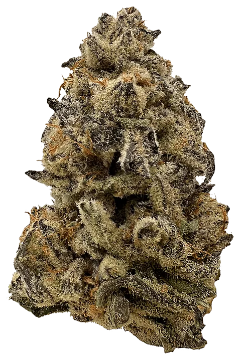 Pyxy Styx Bud Photo, Grown by The Laughing Goat
