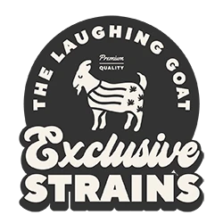The Laughing Goat exclusive strains logo