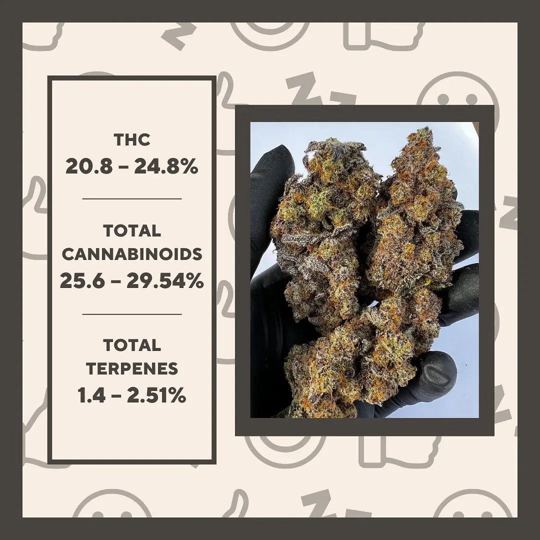 Cookie Wreck Cannabis Strain Education banner THC, Cannabinoids and Terpenes