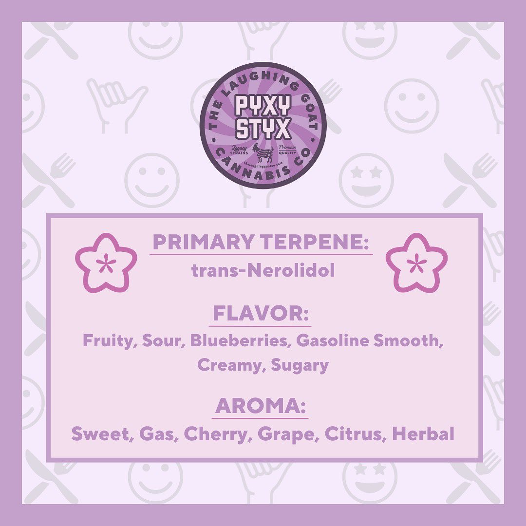 Pyxy Styx Primary Terpenes, Flavors and Aroma