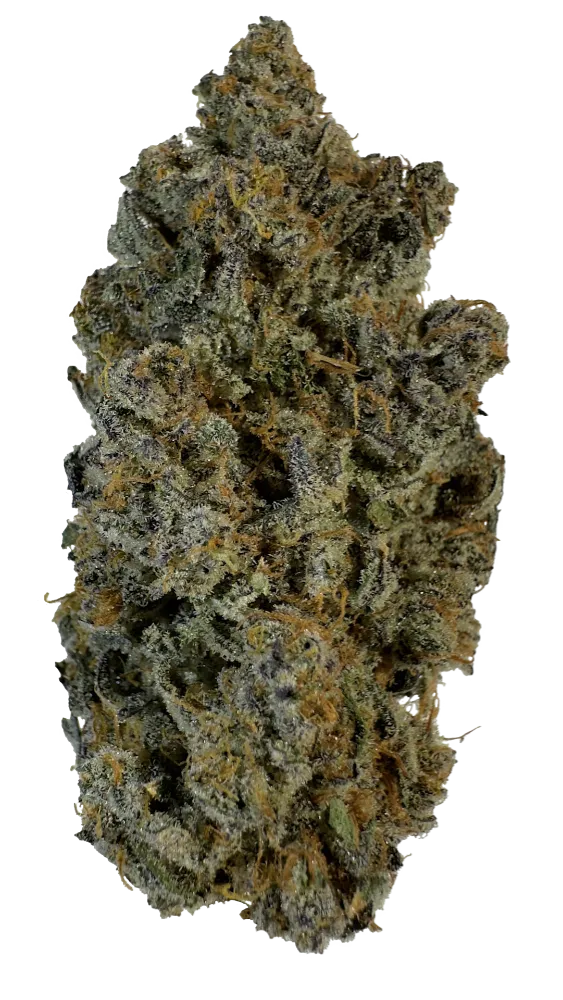 CRANBERRY JUICE NUG Photo