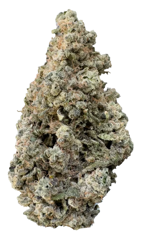 GARY PAYTON NUG PHOTO