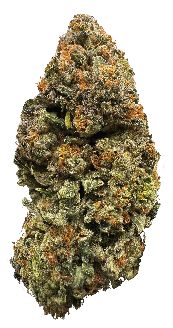 DONNY BURGER NUG PHOTO