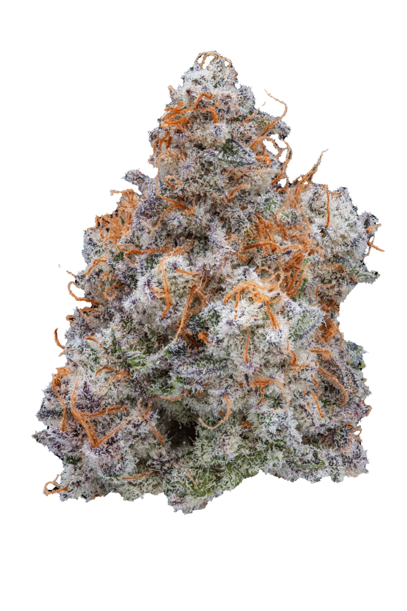 mac 1 cannabis flower by The Laughing Goat — Oklahoma-grown premium flower