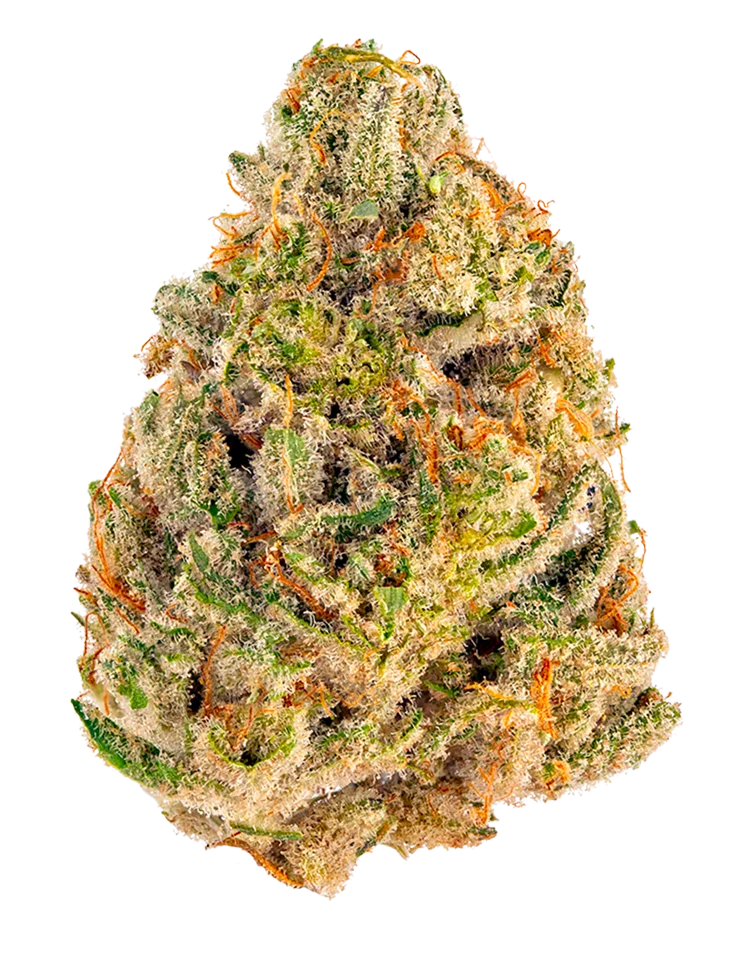 triangle kush cannabis flower by The Laughing Goat — Oklahoma-grown premium flower