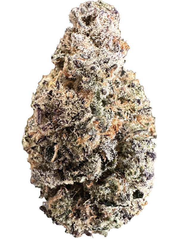 BLUEBERRY SUGAR _Bud_600x800