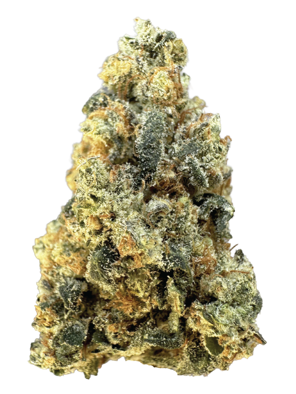 Banana Puddintain_Bud_600x800