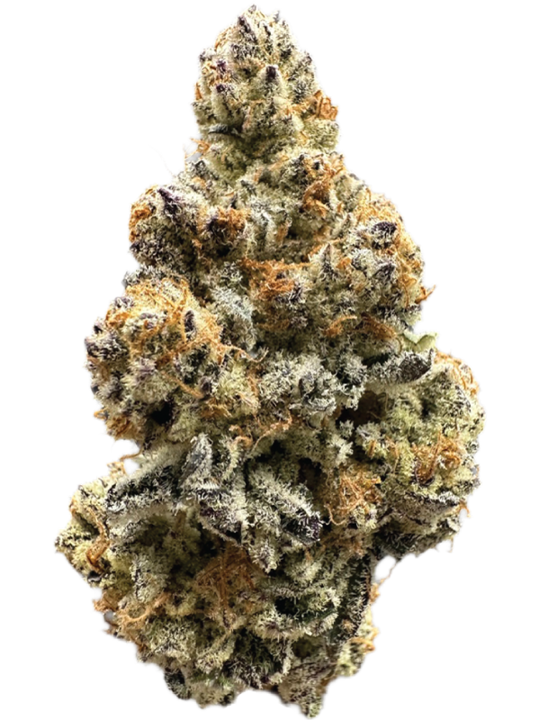DANTES INFERNO_Bud_600x800