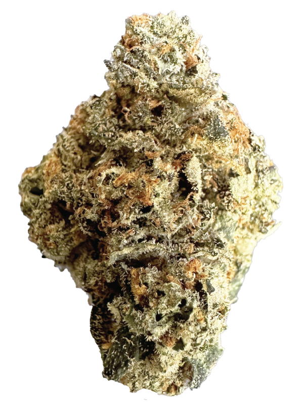RS11_Bud_600x800
