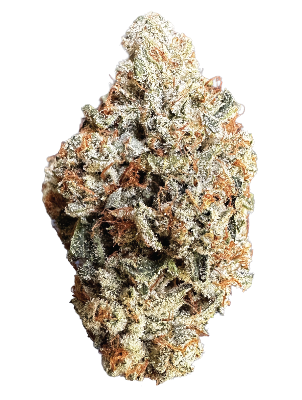 WIFIOG_Bud_600x800