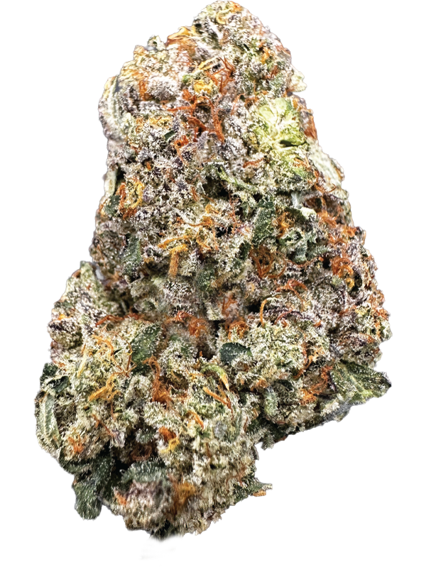 ZUYAQUI_Bud_600x800